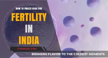 Preserving Fertility: A Guide to Freezing Eggs in India