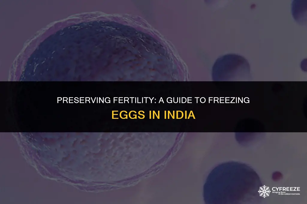 how to freeze eggs for fertility in india