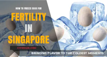 Preserving Fertility: A Guide to Freezing Eggs in Singapore