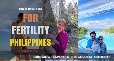 Preserving Fertility: A Guide to Freezing Eggs in the Philippines