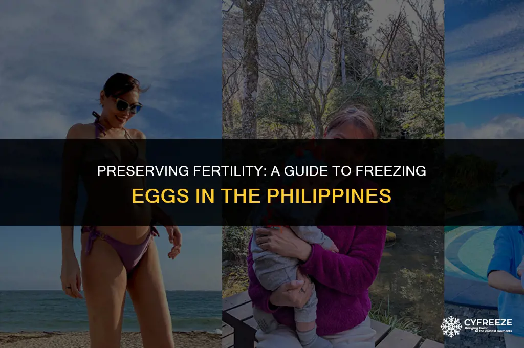 how to freeze eggs for fertility philippines