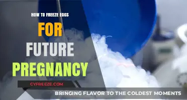Preserving Fertility: A Guide to Freezing Eggs for Future Pregnancy