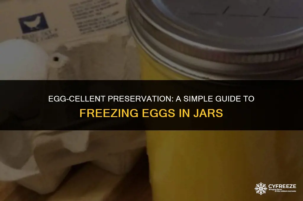 how to freeze eggs in a jar