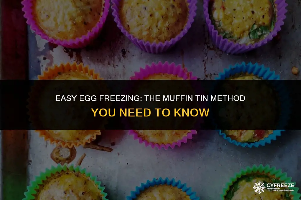 how to freeze eggs in a muffin tin