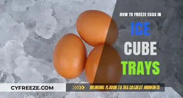 Egg-cellent Preservation: The Simple Guide to Freezing Eggs in Ice Cube Trays