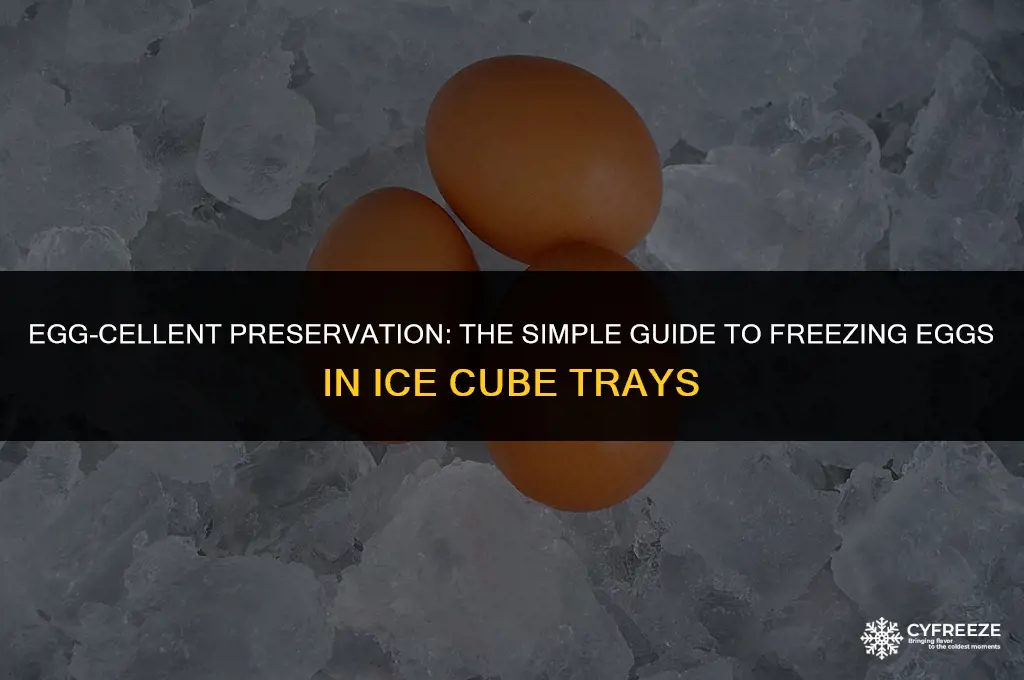 how to freeze eggs in ice cube trays