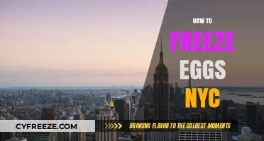 Egg-cellent Preservation: A New Yorker's Guide to Freezing Eggs