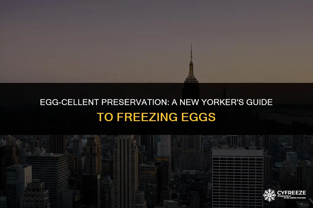 how to freeze eggs nyc