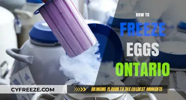 Egg-cellent Preservation: A Guide to Freezing Eggs in Ontario