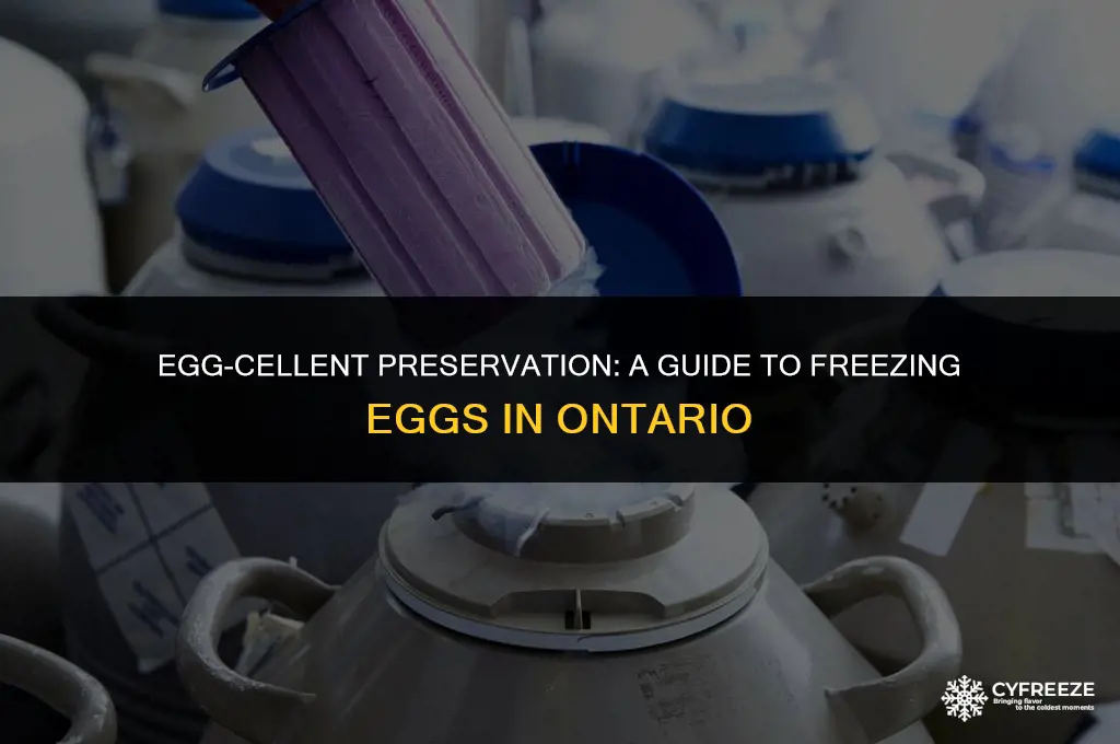 how to freeze eggs ontario