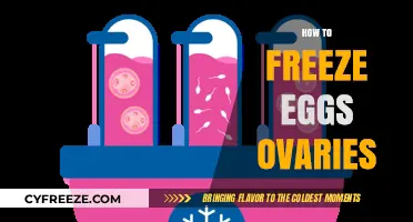 Preserving Fertility: A Guide to Freezing Eggs and Ovaries