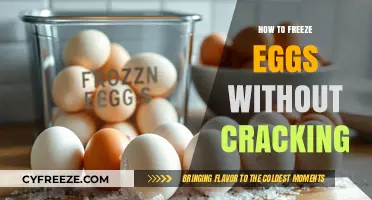 The Ultimate Guide to Freezing Eggs Without Cracking
