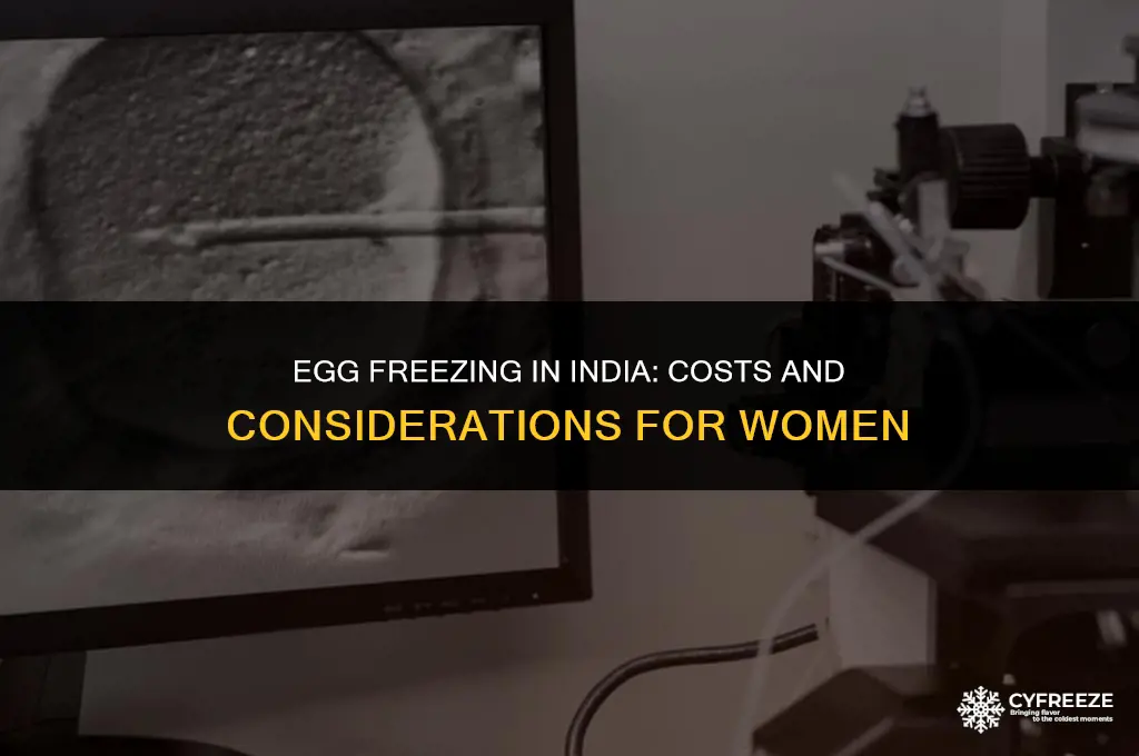 how to freeze eggs woman cost in india