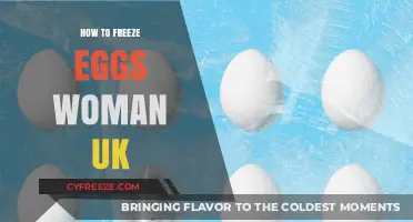 Egg-cellent Preservation: A UK Woman's Guide to Freezing Eggs