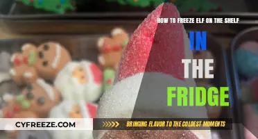 Chilly Adventures: Freezing Your Elf on the Shelf Safely