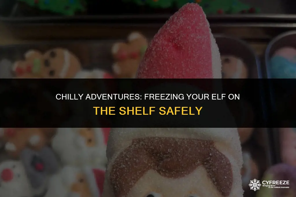 how to freeze elf on the shelf in the fridge