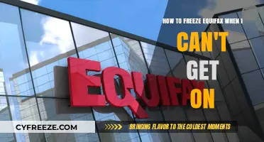 Can't Access Equifax? Here’s How to Freeze Your Credit Now