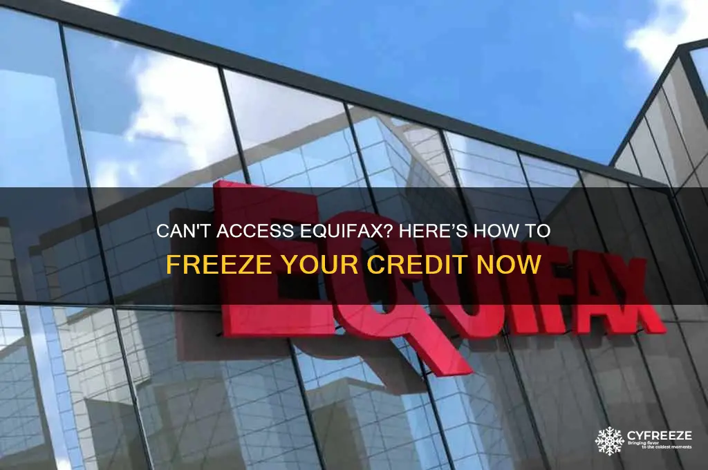 how to freeze equifax when i can