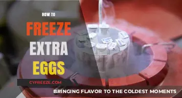 Egg-cellent Preservation: A Simple Guide to Freezing Extra Eggs