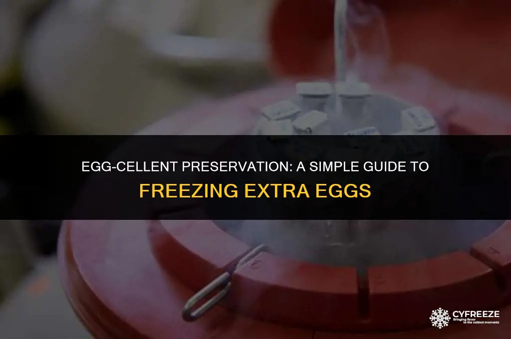 how to freeze extra eggs