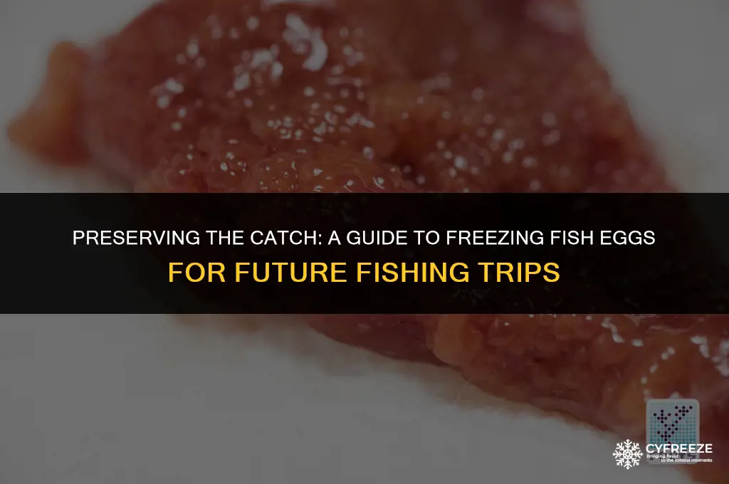 how to freeze fish eggs