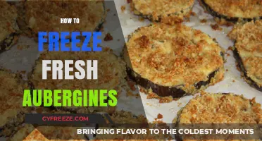 Preserving Perfection: A Guide to Freezing Fresh Aubergines