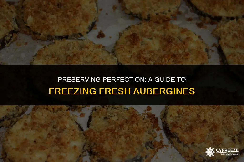 how to freeze fresh aubergines