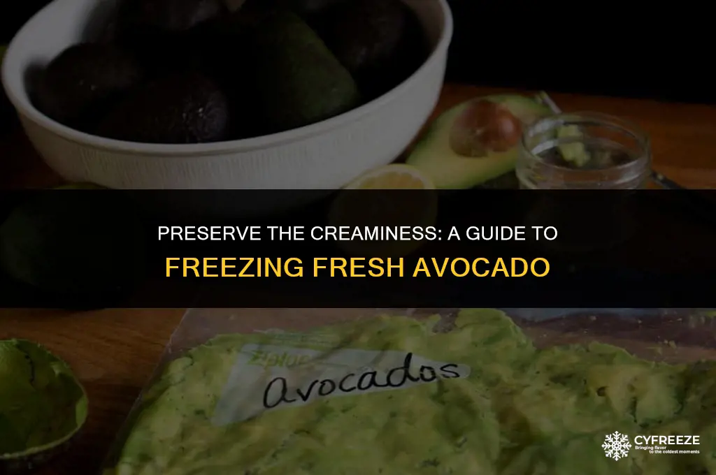 how to freeze fresh avocado