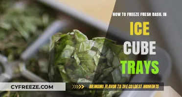 Preserve Fresh Basil: A Simple Guide to Freezing in Ice Cube Trays