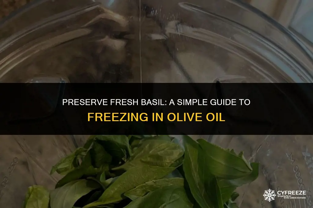 how to freeze fresh basil in olive oil