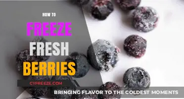 Preserve the Flavor: A Guide to Freezing Fresh Berries