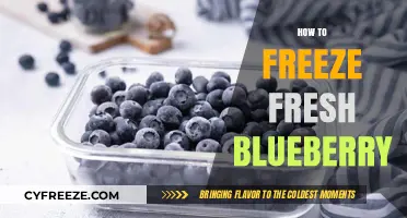 Preserve the Flavor: A Guide to Freezing Fresh Blueberries