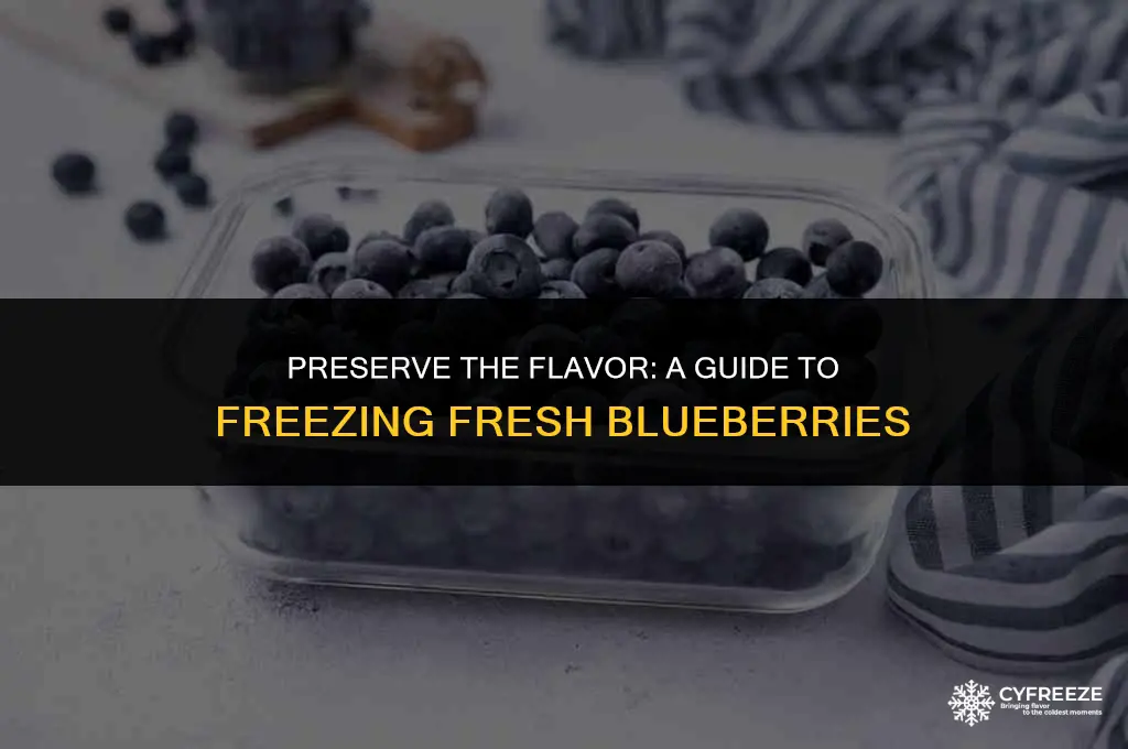 how to freeze fresh blueberry