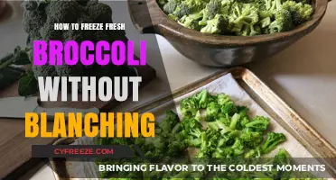 Quick & Easy: Freezing Fresh Broccoli Without Blanching
