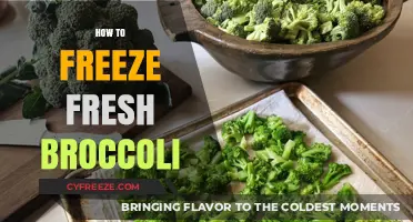 Preserve the Green: A Simple Guide to Freezing Fresh Broccoli