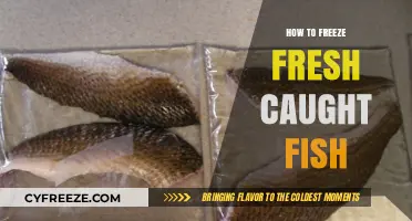 Preserving the Catch: A Guide to Freezing Fresh Fish