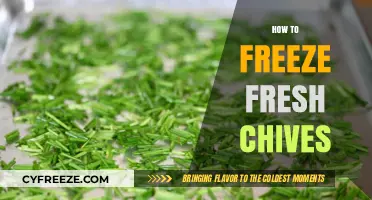 Preserve the Flavor: A Simple Guide to Freezing Fresh Chives