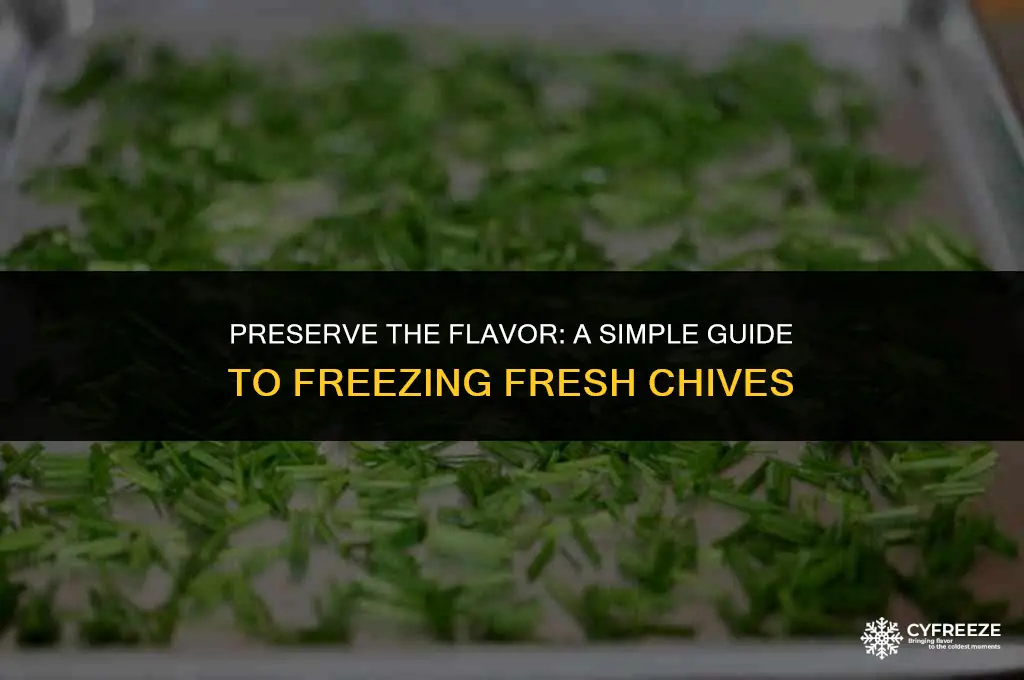 how to freeze fresh chives
