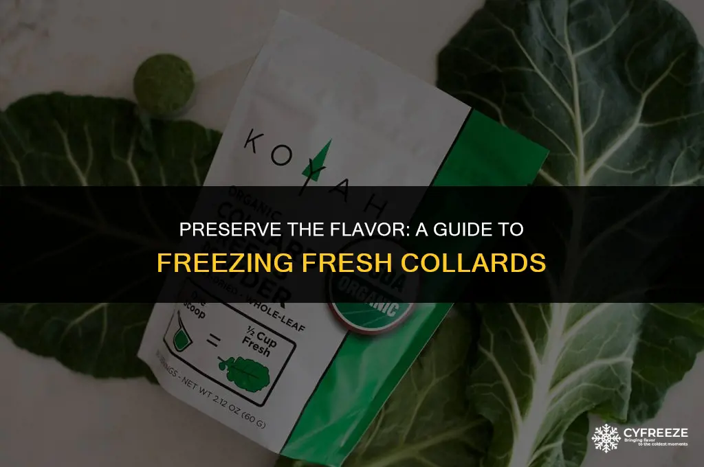 how to freeze fresh collards