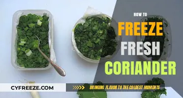 Preserve the Flavor: A Simple Guide to Freezing Fresh Coriander