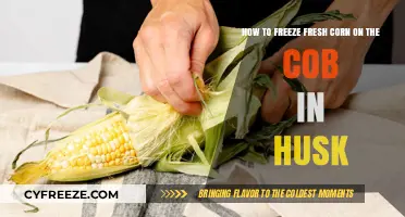 Preserve Summer's Bounty: Freezing Fresh Corn on the Cob in Husks
