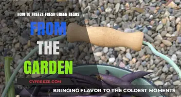 Preserving Garden Freshness: A Guide to Freezing Green Beans