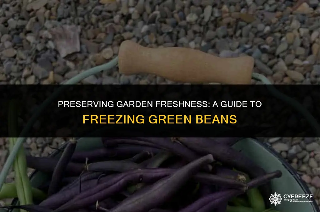 how to freeze fresh green beans from the garden