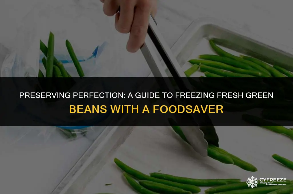 how to freeze fresh green beans with a foodsaver