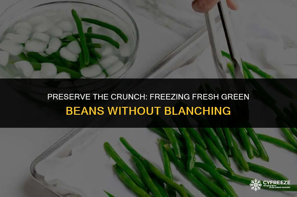 how to freeze fresh green beans without blanching