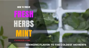 Preserve the Flavor: A Guide to Freezing Fresh Mint