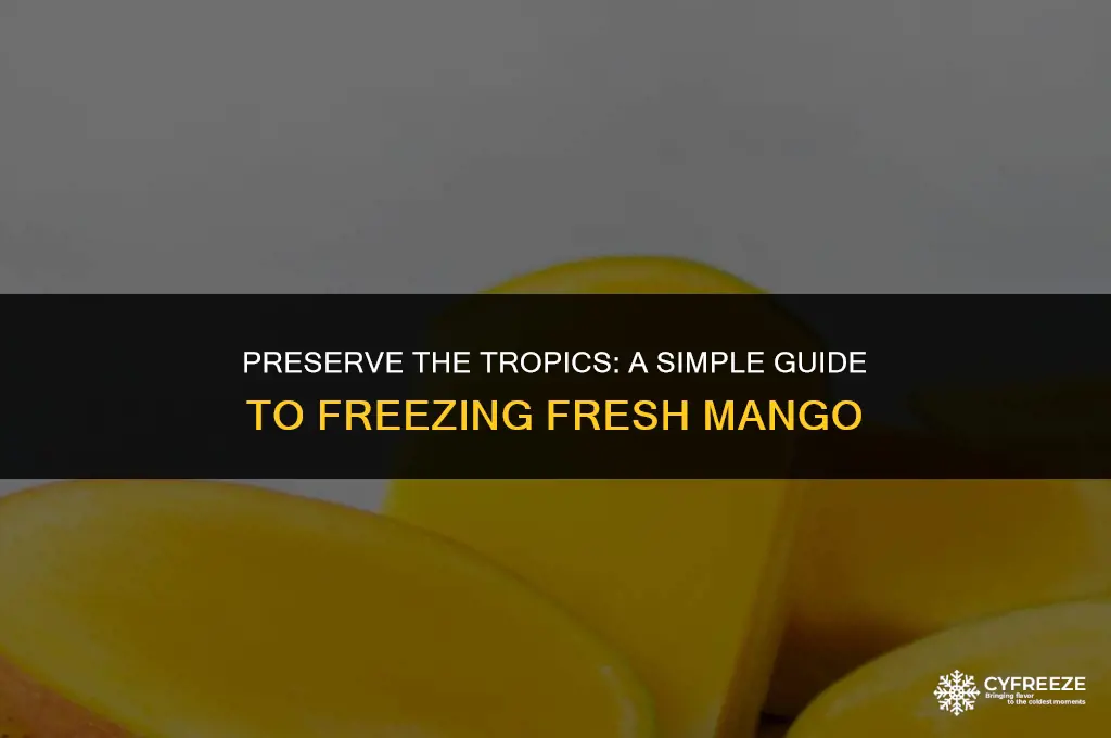 how to freeze fresh mango
