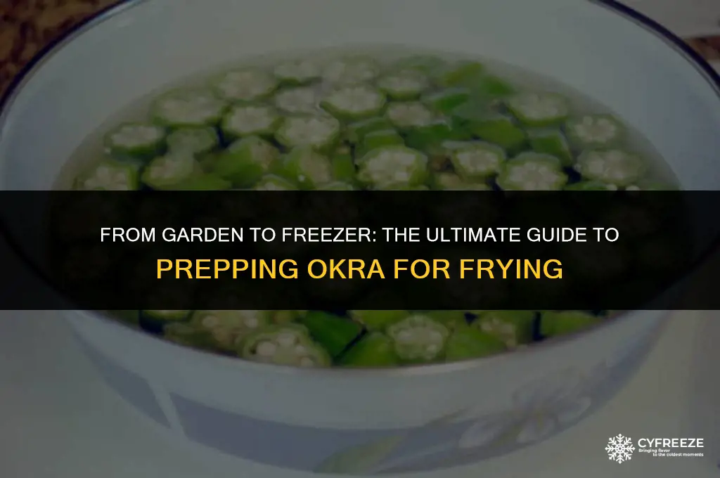 how to freeze fresh okra for frying