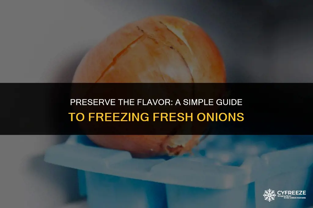 how to freeze fresh onions