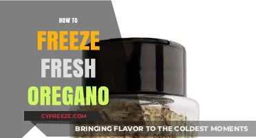 Preserve the Flavor: A Simple Guide to Freezing Fresh Oregano